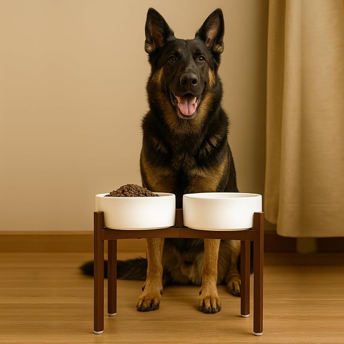 SPUNKYJUNKY Raised Ceramic Dog Bowls Set with Non-Slip Acacia Wood Stand for Large Sized Dog(60.87 OZ, White)