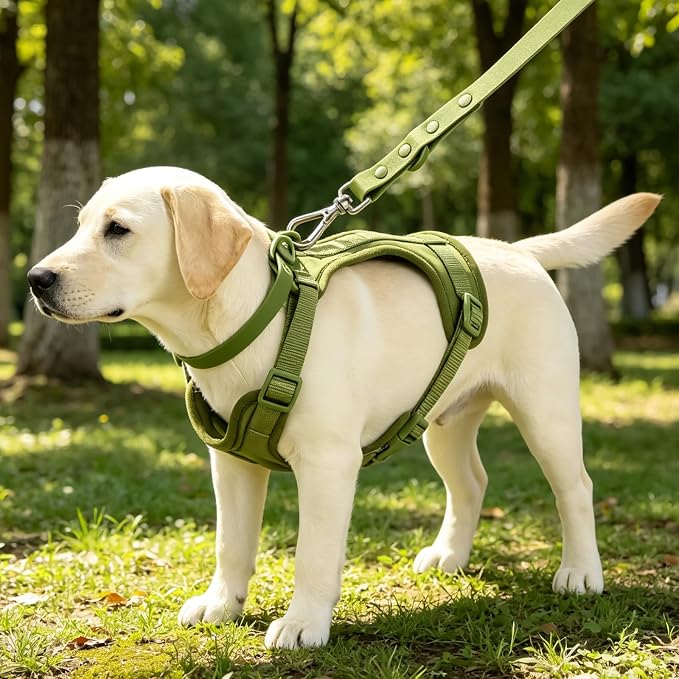 4-in-1 No Pull Dog Harness Set with Collar, Leash, Poop Bag, Adjustable, S