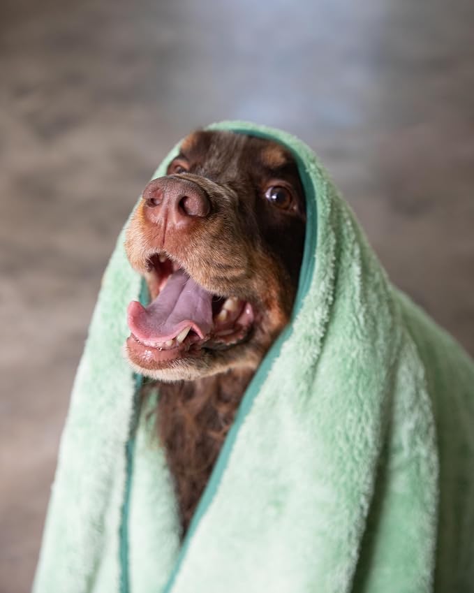 Two Tails Pet Company Pet N’ Dry Microfiber Bath Towel, Absorbent Dog Towels for Drying or Washing Paws, Faces, or Small Dogs, Soft and Lightweight, Fast Drying, Grooming Dog Supplies, Size Small