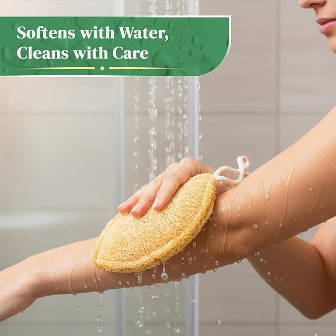 Natural Loofah Exfoliating Sponge (4 Pack) - Organic Loofah for Body - Biodegradable Shower Luffa - Natural Bath Sponges Loufa - Estropajos para el Cuerpo