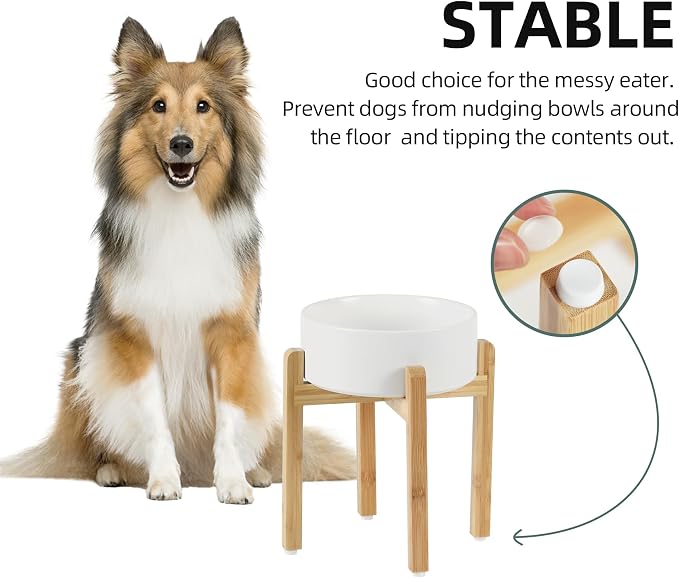 Havniva 8.3” Dog Bowls Elevated Ceramic Dog Food and Water Bowl, Raised Dog Water Bowl with Stand Non-Slip Rubber Base Large Capacity Feeding Pet Food Bowl for Large Dogs