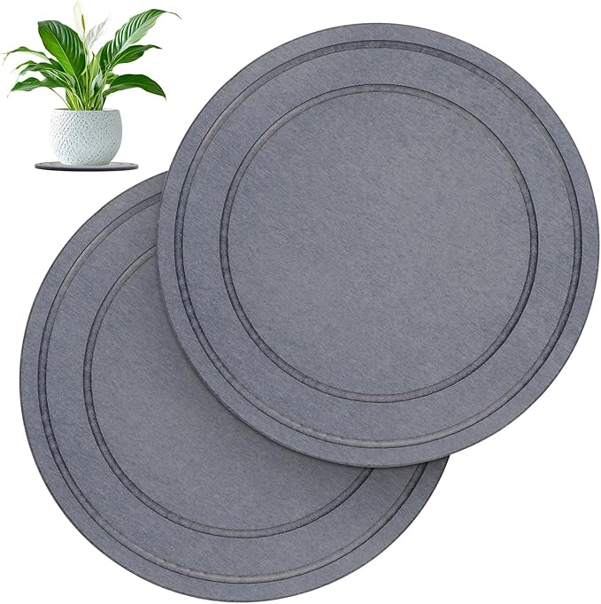 Diatomaceous Earth Plant Pot Saucers for Indoor & Outdoor, 2 Pack 10 inch, Round Plant Drip Trays, Plant Dish Pant Plate to Catch Water, Instant Drying Stone Drainage Tray