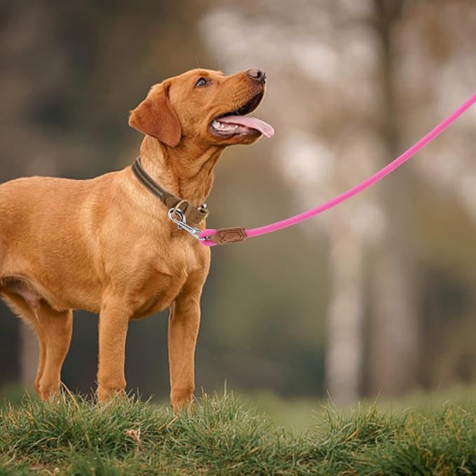 Mile High Life Leather Dog Leash, Heavy Duty Strong Genuine Leather Handle Rope Leash Soft and Comfortable for Small Medium Large Dogs (Hot Pink, 48 Inch)