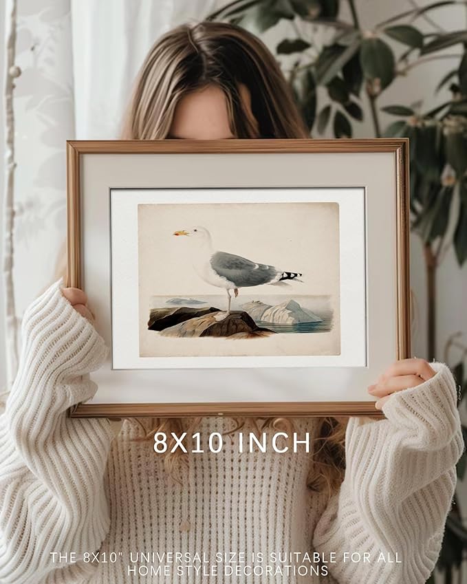 Vodefoad Vintage Seagull Print Large Seagull Nautical Bird Wall Art Coastal Print Beach House Wall Art Nautical Decor for Gallery Kitchen Living Room Bedroom (UNFRAMED 8x10in)