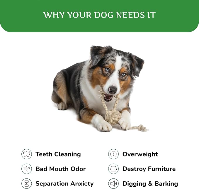 Natural Hemp Dog Rope Toy, Durable Chew and Tug Toy for Medium and Large Dogs, Biodegradable Dental Cleaning Pet Toy (Knots Ball)
