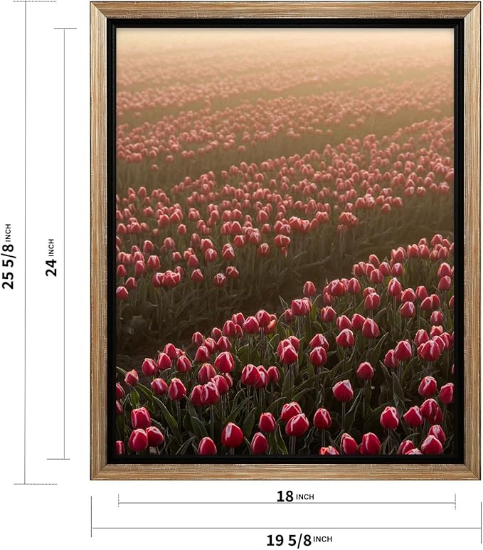 Monem Art Golden Tulip Field Sunset Photography Print - Romantic Spring Landscape Art Poster - Wall Decor for Living Room, Bedroom or Office - 18x24 Silver Framed CANVAS Wall Art by Mareike Bohmer