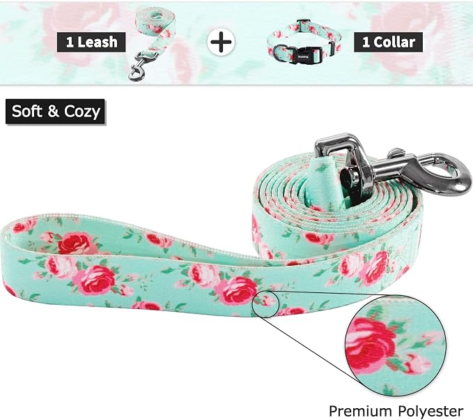 Ihoming Dog Collar and Leash Set for Daily Outdoor Walking Running Training, Floral Spring Design for Small Boys Girls Dogs Cats Pets, S-Up to 20LBS