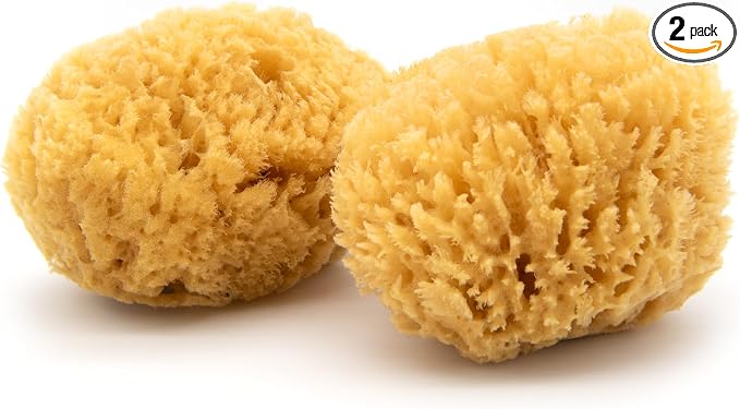 Neptune Caribbean Sea Sponge 2 Pack for Face & Body, Medium Approx. 5-6 Inch, Ultra-Soft Bath Sponge, Eco-Friendly & Biodegradable