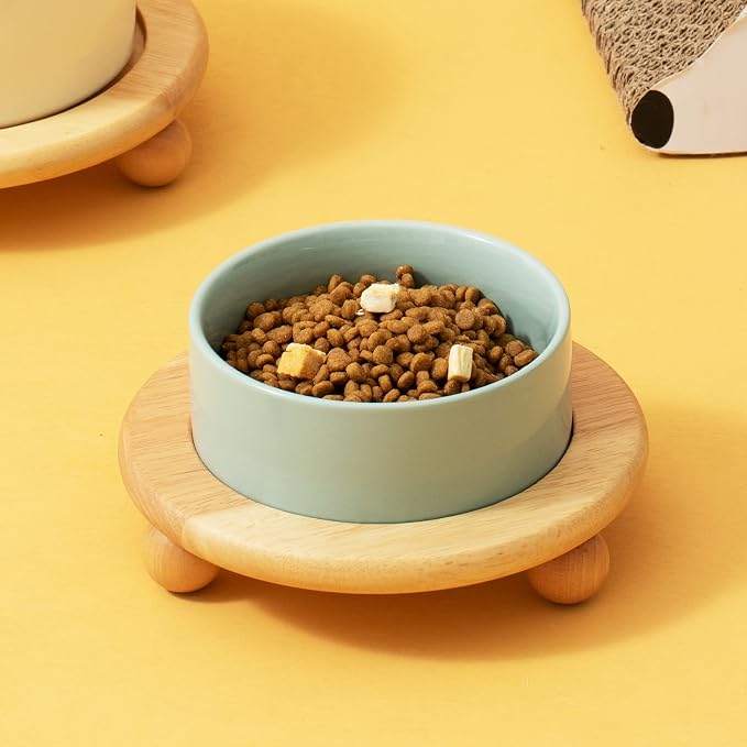 Havniva Raised Cat Bowls Water Bowl 6.1” Elevated Ceramic Cat Food and Water Bowl Whisker Friendly Pet Food Bowls for Indoor Cats, Wide Cat Water Dish Prevent Whisker Fatigue Non Slip Cat Feeder
