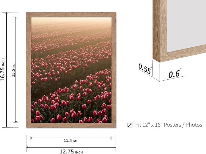 Monem Art Golden Tulip Field Sunset Photography Print - Romantic Spring Landscape Art Poster - Wall Decor for Living Room, Bedroom or Office - 12x16 Beige Framed Wall Art by Mareike Bohmer