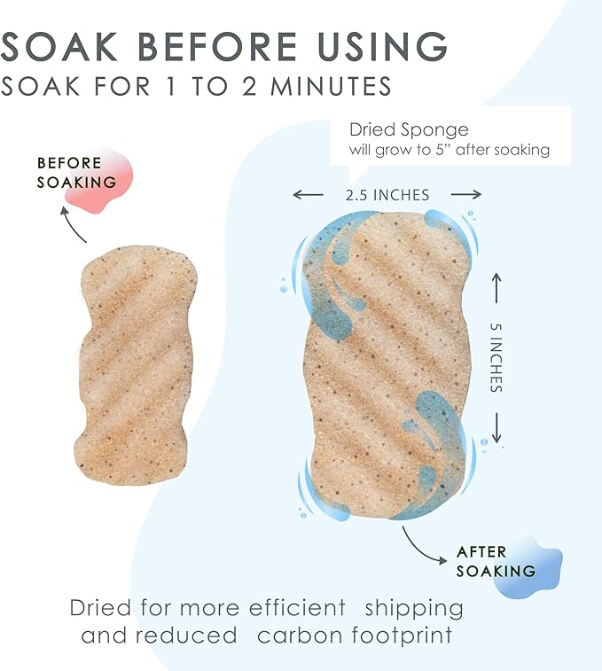 Konjac Sponge Body (2 Pack) Exfoliating Walnut | Microplastic Free 100% Natural | Non-Toxic | Biodegradable | Eco-Friendly | Plastic Free Packaging