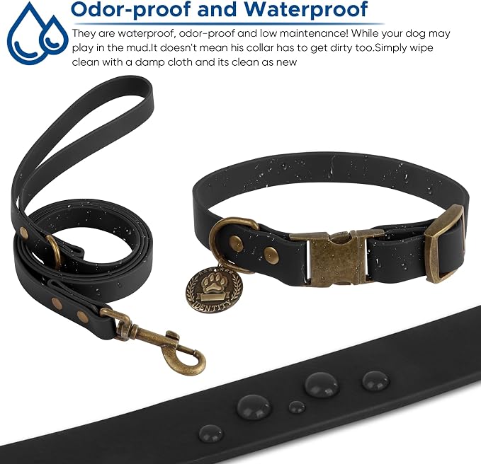 Wisedog Waterproof Dog Collar and Leash Set, M, Black | Adjustable Puppy Collar, Cute Tag, 5FT Leash, Includes Poop Bag, For Small Medium Large Dogs
