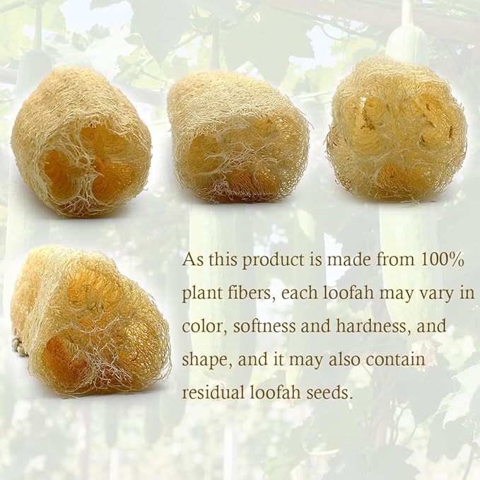Zooshine 4PCS 6" Natural Loofah Sponge Organic Shower Loofah for Exfoliating & Smooth Skin, Loofahs for Bathing for Men & Women