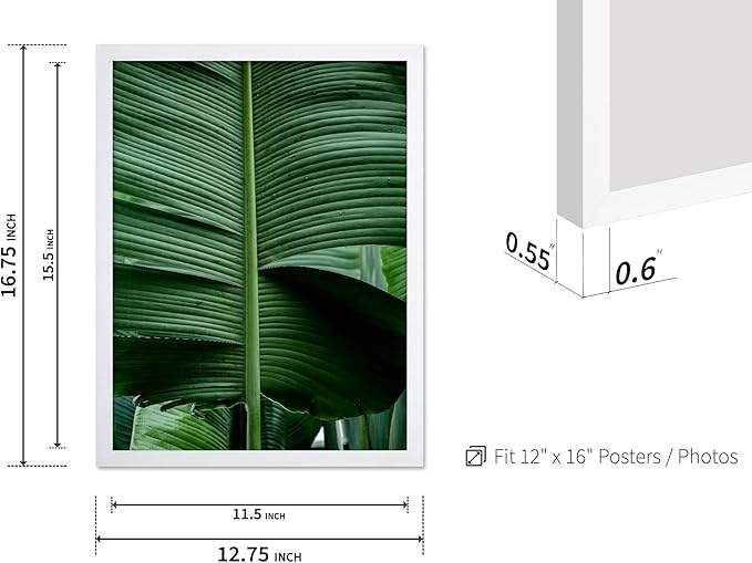 Monem Art Tropical Banana Leaf Photography Print - Minimalist Botanical Nature Poster - Wall Decor for Living Room, Bedroom or Office - 12x16 White Framed Wall Art by Mareike Bohmer
