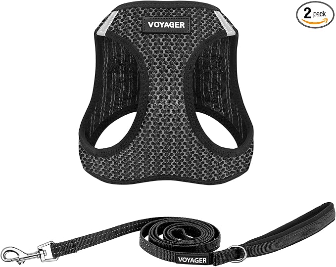 Best Pet Supplies Voyager Step-in Air All Weather Mesh Harness and Reflective Dog 5ft Leash Combo with Neoprene Handle, for Small, Medium and Large Breed Puppies - Set (Gray 2-Tone), X-Small