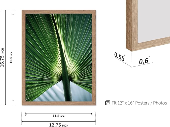 Monem Art Tropical Palm Leaf Macro Photography Print - Minimalist Botanical Nature Art Poster - Wall Decor for Living Room, Bedroom or Office - 12x16 Beige Framed Wall Art by Mareike Bohmer