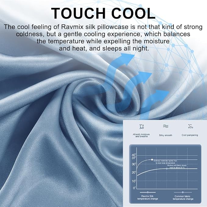 Ravmix Silk Pillow Cases with Zipper, 21momme Mulberry Silk Pillowcase for Hair Skin Health, Soft Smooth Breathable Cool Pillow Cover for Beauty Sleep with Gift Box 1PC(Standard 20"x26", Flint Blue)