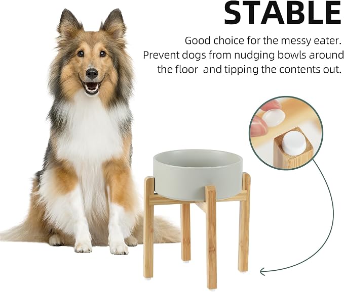 Havniva 8.3” Dog Bowls Elevated Ceramic Dog Food and Water Bowl, Raised Dog Water Bowl with Stand Non-Slip Rubber Base Large Capacity Feeding Pet Food Bowl for Large Dogs