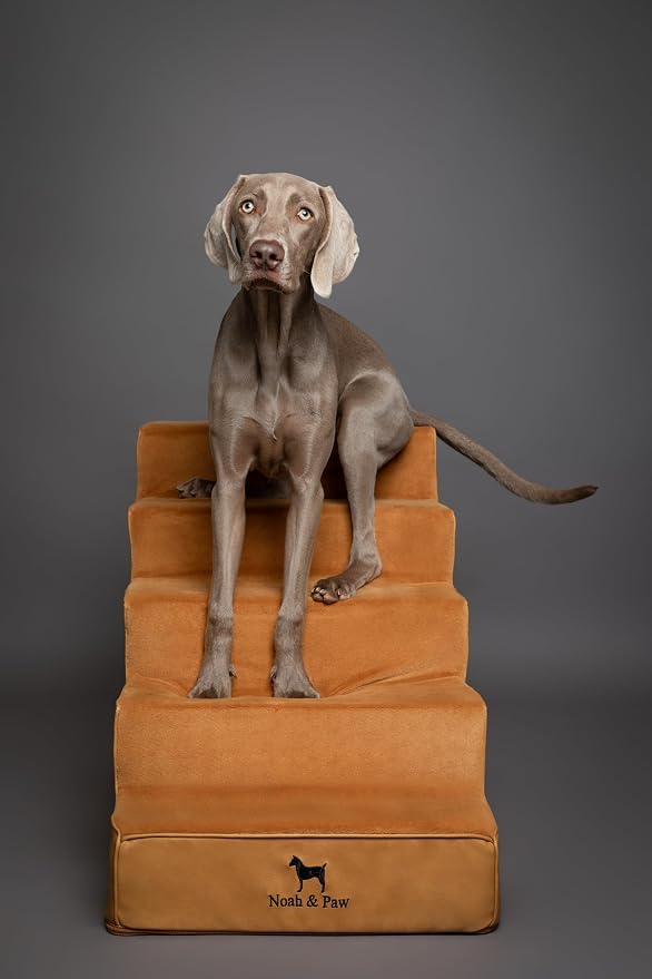 Noah & Paw Dog Stairs, Dog Ramp for Bed (20" Extra Wide) Pet Stairs for High Bed, Design to Fit Small and Large Breeds, Durable 5 Pet Steps for Couch (35 Foam Density) Leather Collection