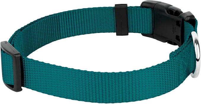 Country Brook Petz - Everyday Nylon Dog Collar and Leash - 10+ Cool Colors (3/4 Inch, Small, Teal)
