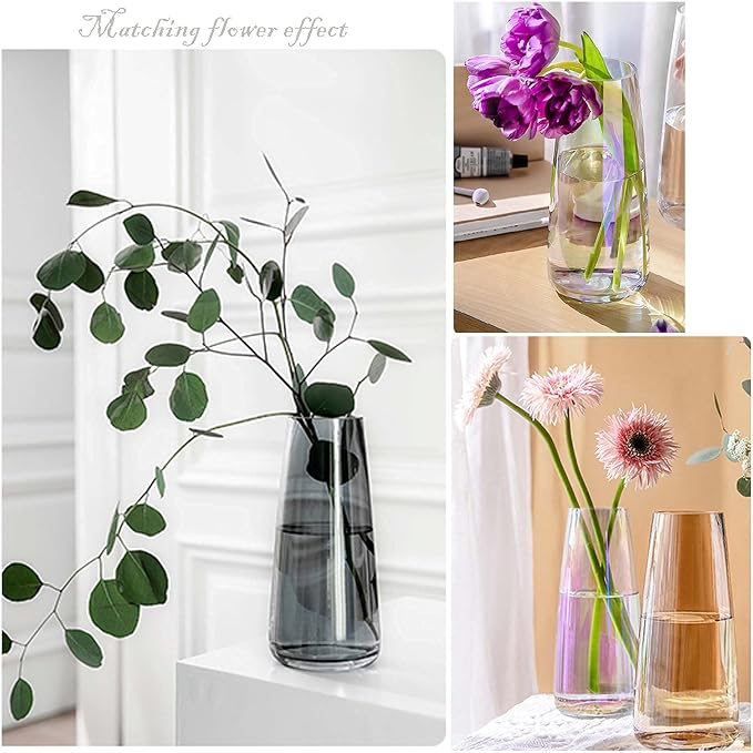 FANTESTICRYAN Modern Glass Vase Crystal Clear Glass Vase for Home Office Decor (Crystal Grey)