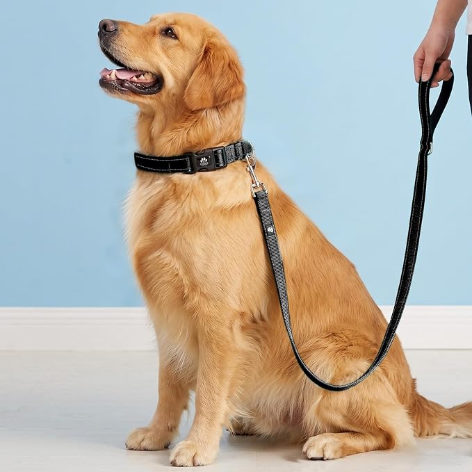 FURRYFECTION Reflective Dog Collar and Leash Set With Quick Release Buckle, Padded Neoprene Adjustable Nylon for Small Medium and Large Dogs (Medium Collar+5FT Leash, Black)