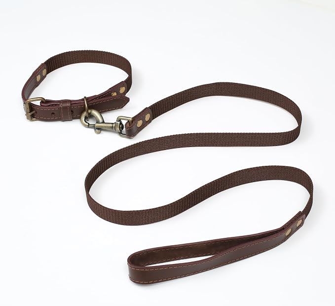 Lightnpro Heavy Duty Dog Collar and Leash Set - Adjustable Leather Dog Collar with Strong Metal Buckle & Durable Lead - Training & Walking Set for Large Dogs, German Shepherd, Great Dane, St. Bernard