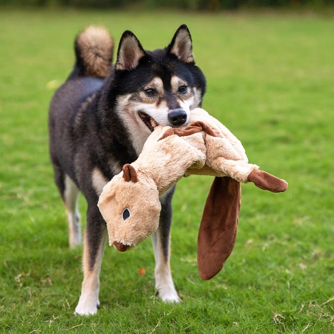 Best Pet Supplies Squeaky Dog Toys with Soft Durable Fabric for Small, Medium and Large Pets Interactive Toy for Indoor Play, Supports Active Biting and Play - Squirrel, Medium