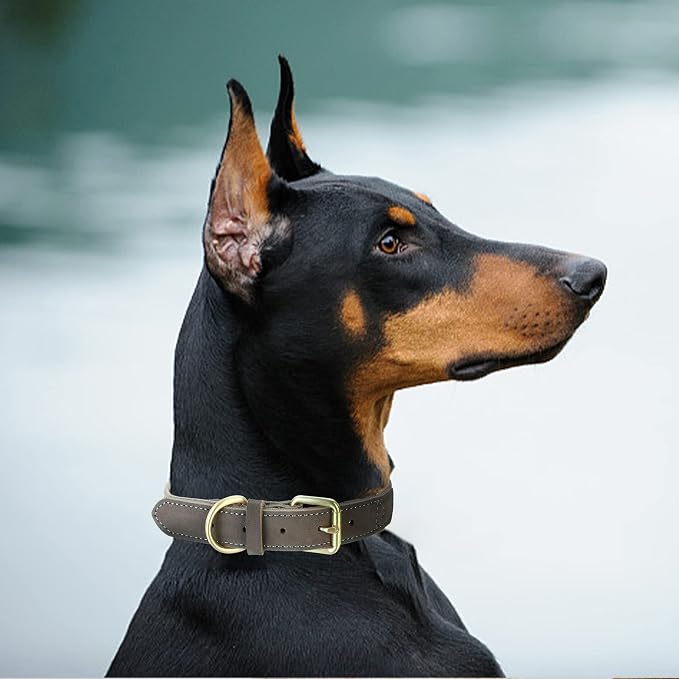 Mile High Life Genuine Leather Dog Collar, Heavy Duty Canvas Collar with Adjustable Metal Pin Buckle for Small Medium Large Dogs (Navy Blue, M Neck 15"-18")