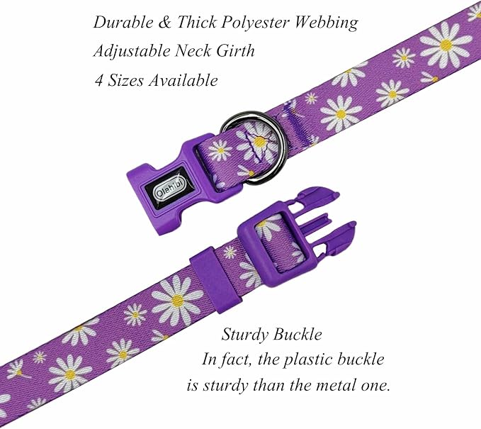 Dog Collar Leash Set, Floral Pattern, Polyester Material, Adjustable Collar and 5ft Matching Leash, for Medium Dogs.(M, Purple Daisy)