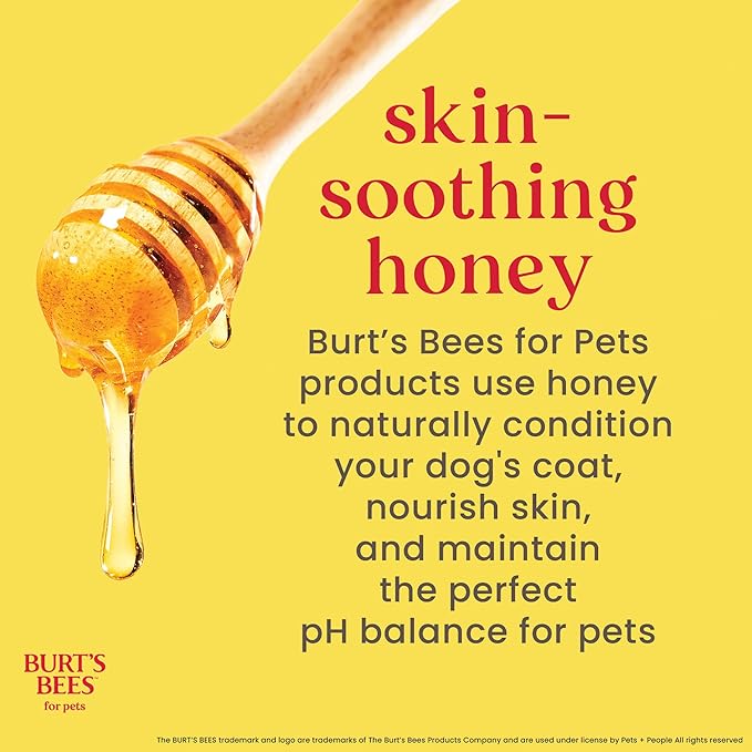 BURT'S BEES FOR PETS Itch Soothing Shampoo with Honeysuckle, 95% Natural Origin Formulas, Dog Shampoo for Itchy Dogs, Dog Shampoo Itchy Skin Relief, 32 oz