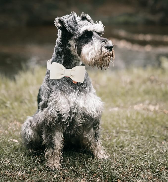 DOGWONG Cotton Dog Collar with Bow, White Wedding Collar - Adjustable for Small to Large Dogs