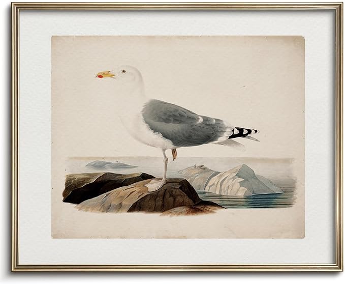 Vodefoad Vintage Seagull Print Large Seagull Nautical Bird Wall Art Coastal Print Beach House Wall Art Nautical Decor for Gallery Kitchen Living Room Bedroom (UNFRAMED 8x10in)