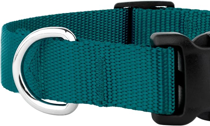 Country Brook Petz - Everyday Nylon Dog Collar and Leash - 10+ Cool Colors (3/8 Inch, 3XS, Teal)