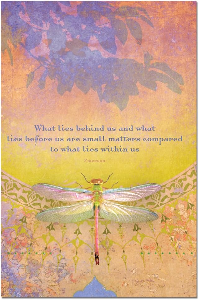 Tree-Free Greetings - All Occasion Cards - Artful Designs - 12 Greeting Cards + White Envelopes - Made in USA - 100% Recycled Paper - 4 x 6 - What Lies Behind (FS66558)