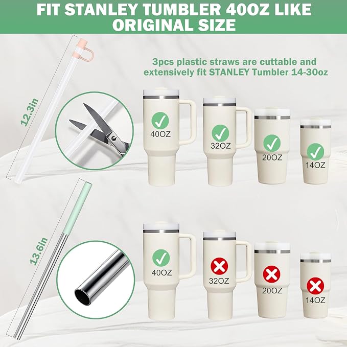 HEYSKAY 6pc Replacement Straws Reusable for Stanley Tumbler 40oz 30oz Metal&Plastic Replacement Straws with Straw Covers,Silicone Tips and Cleaning Brushes