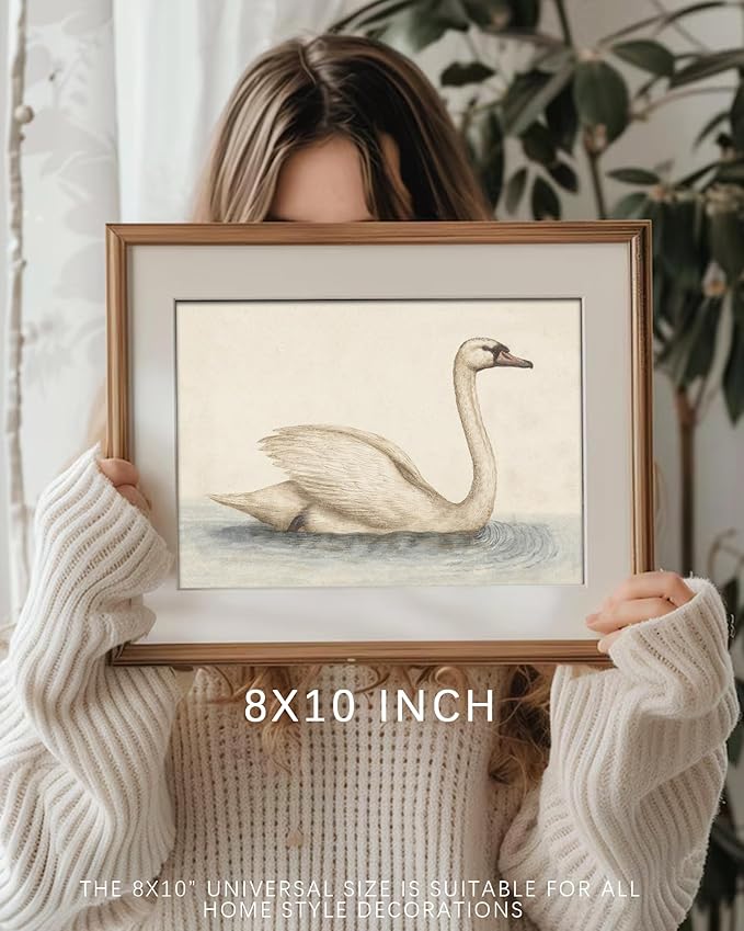 Vodefoad Vintage Wall Art Prints Decor Classical Swan Canvas Oil Painting Poster Pastel Watercolor Swan Vintage Art Pictures Farmhouse Style Wall Decor for Gallery Nursery Bedroom Bathroom Office - 8x10Inch Unframe