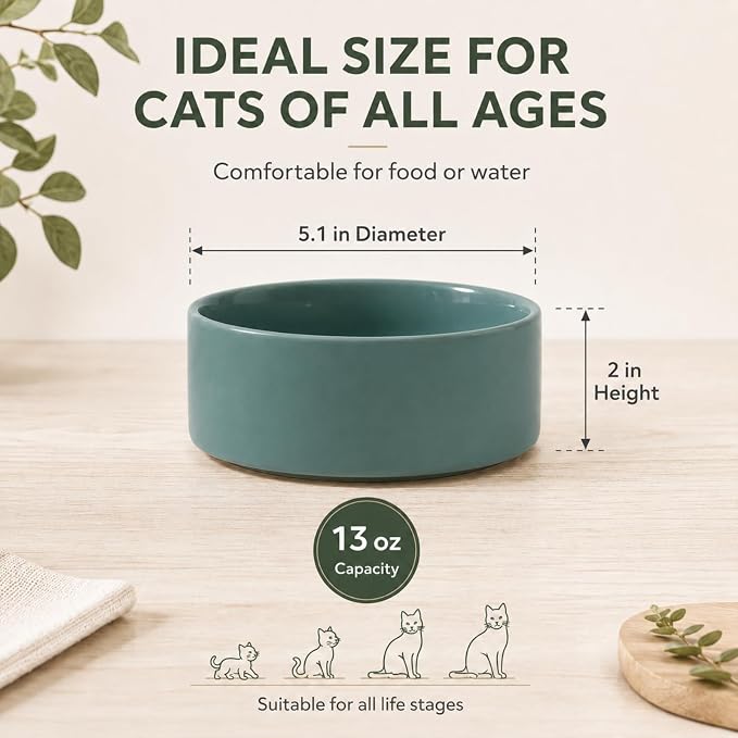 Havniva Cat Bowls Water Bowl Set of Two, 5.1” Ceramic Cat Food and Water Bowl Whisker Friendly Pet Food Bowls for Indoor Cats, Wide Cat Water Dish Prevent Whisker Fatigue Non Slip Cat Feeder
