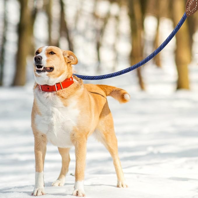 Mile High Life Rope Leash with Genuine Leather Connection, 6 FT/5 FT/4 FT, Heavy Duty Leash for Medium & Large Dogs (Blue, 72 Inch)