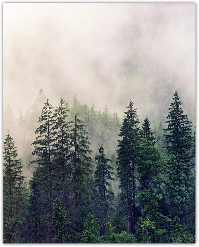 Buzz Unplugged Foggy Forest Abstract Wall Art: Minimalist, Aesthetic & Boho Wall Art for Home, Office, Bedroom & Living Room Decor - Unframed Posters 8x10