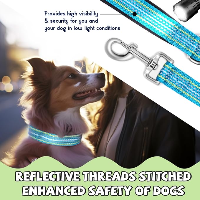 Reflective Dog Collar and Leash Set, Nylon Dog Leash with Heavy-Duty Steel D-Ring, Adjustable with Quick Release Buckle for Medium Dogs,Cyan M
