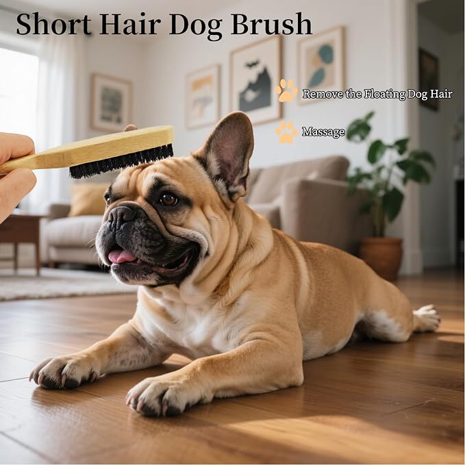 Soft Boar Bristle Dog Brush for Short Haired Dogs - Made of Bamboo, Gentle Deshedding & Grooming Tool, Ideal Dog Hair Brush for Pets, Dog Brushes for Grooming and Shedding （Large）
