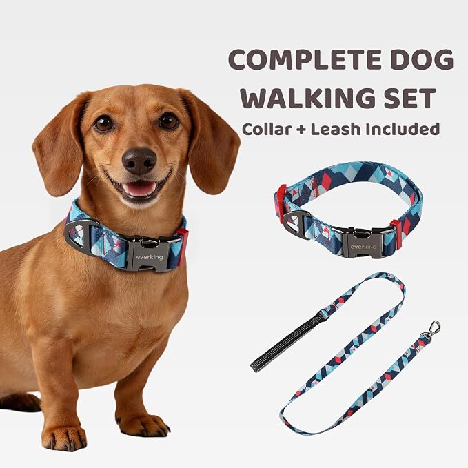 EVERKING Dog Collar & Leash Set for Everyday Walking | Matching adjustable collar and leash set with reflective handle and heavy-duty hardware for comfortable everyday dog walks.