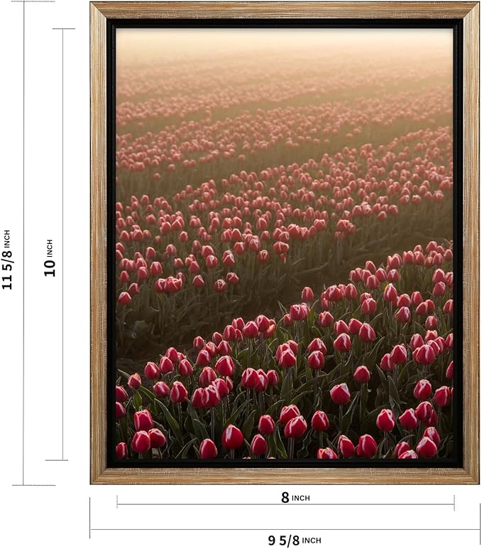 Monem Art Golden Tulip Field Sunset Photography Print - Romantic Spring Landscape Art Poster - Wall Decor for Living Room, Bedroom or Office - 8x10 Silver Framed CANVAS Wall Art by Mareike Bohmer