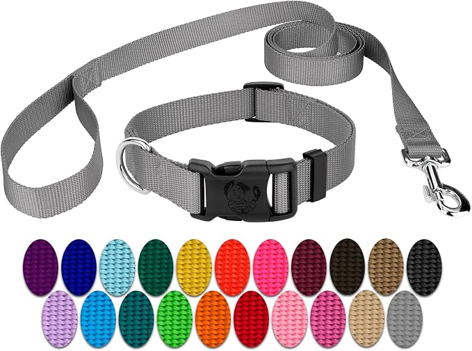 Country Brook Petz - Everyday Nylon Dog Collar and Leash - 10+ Cool Colors (3/8 Inch, 2XS, Silver)