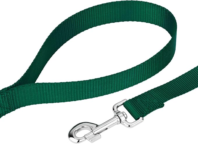 Country Brook Petz - Everyday Nylon Dog Collar and Leash - 10+ Cool Colors (1 Inch, Extra Large, Green)