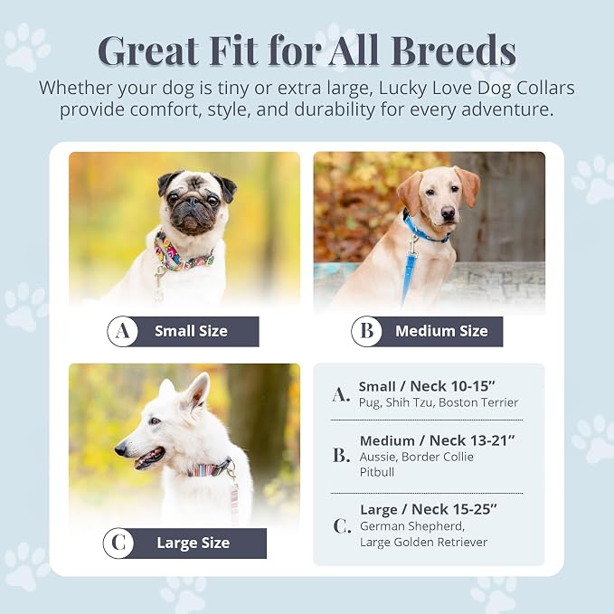 Lucky Love Dog Martingale Dog Collar - Adjustable, No-Slip, Durable, & Soft Webbing Collar for Male and Female Dogs Ideal for Training & Walking - Primrose, Small