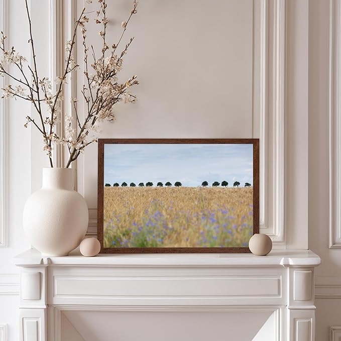 Monem Art Golden Meadow Horizon Landscape Print - Minimalist Nature Photography Poster - Wall Decor for Living Room, Bedroom or Office - 12x16 Brown Framed Wall Art by Mareike Bohmer