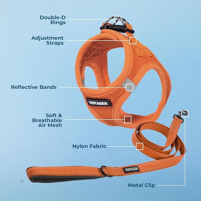 Best Pet Supplies Voyager Step-in Air All Weather Mesh Harness and Reflective Dog 5ft Leash Combo with Neoprene Handle, for Small, Medium and Large Breed Puppies - Orange, XX-Small