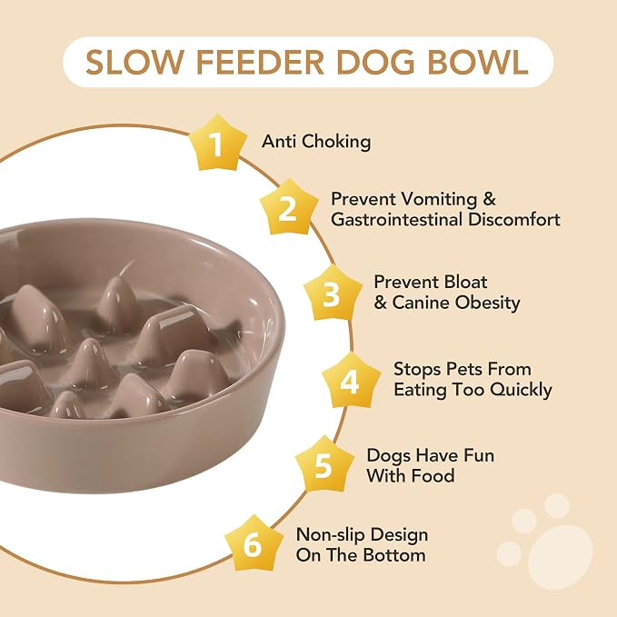 Havniva 7.3” Raised Slow Feeder Dog Bowls Set, 1.2 Cups Ceramic Slow Feeder Dog Bowl and 6.1” Dog Water Bowl with Elevated Wooden Stand Puzzle Dog Food Bowl for Small Dogs Anti-Gulping & Anti-Choking